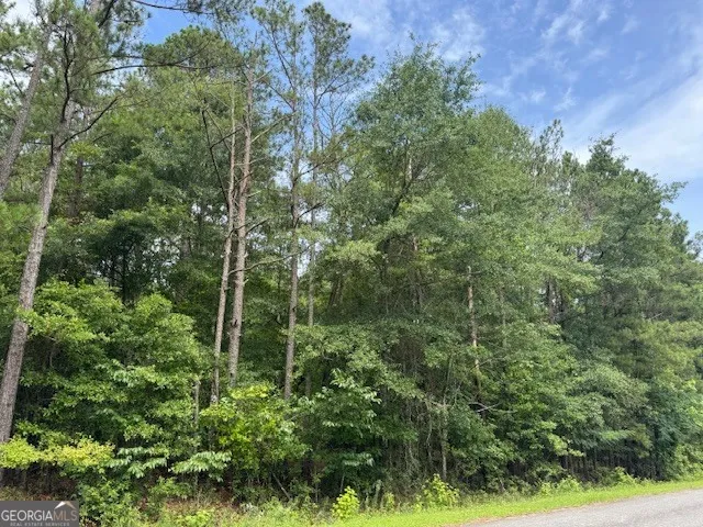 2320 Sofkee CIR Lizella, GA 31052