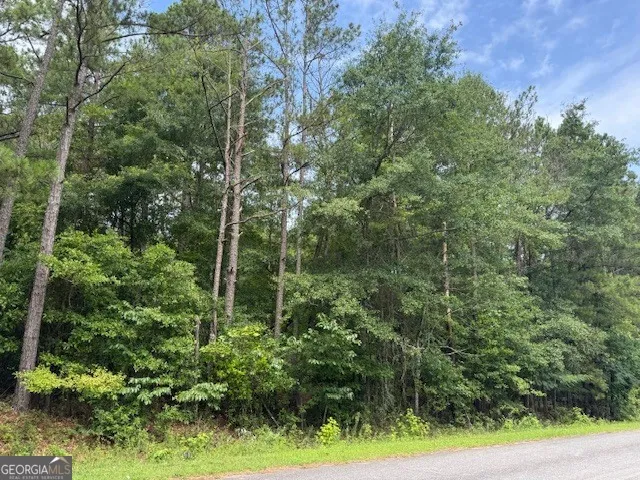 2320 Sofkee CIR Lizella, GA 31052
