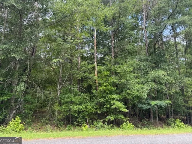 2320 Sofkee CIR Lizella, GA 31052