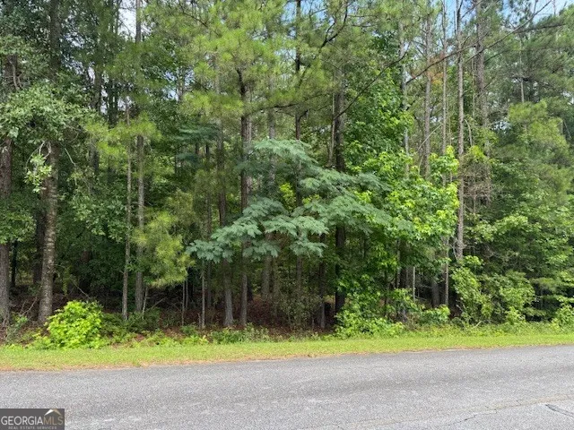 2320 Sofkee CIR Lizella, GA 31052