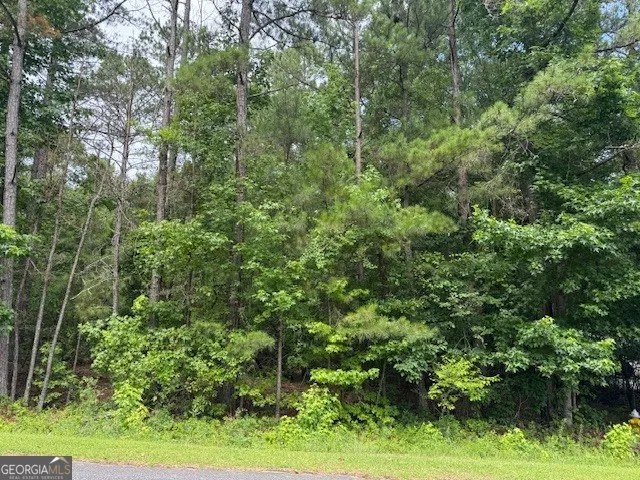 2320 Sofkee CIR Lizella, GA 31052
