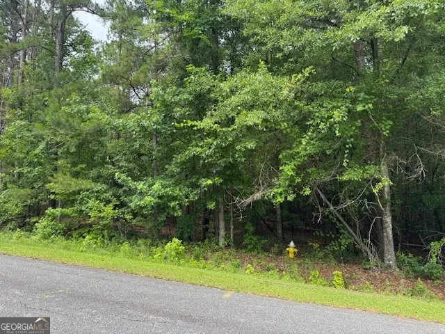 2320 Sofkee CIR Lizella, GA 31052