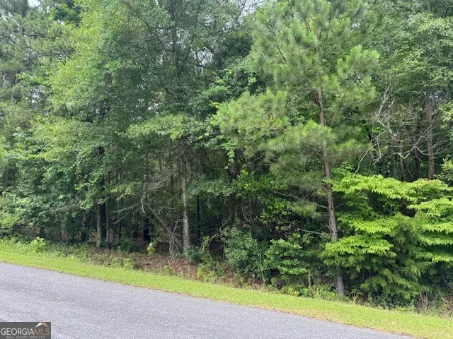 2320 Sofkee CIR Lizella, GA 31052