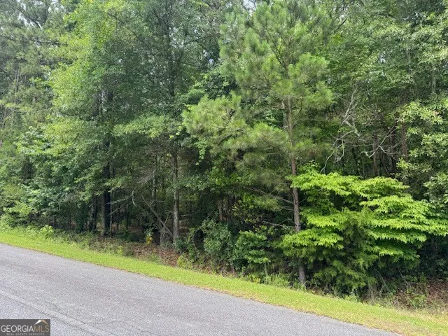2320 Sofkee CIR Lizella, GA 31052