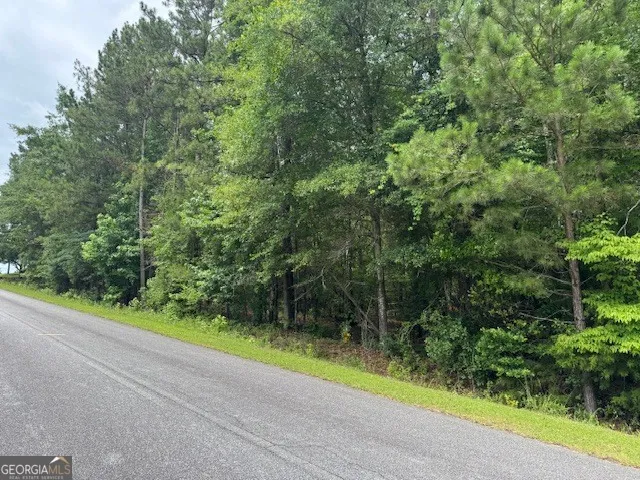 2320 Sofkee CIR Lizella, GA 31052