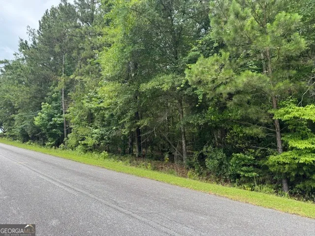 2320 Sofkee CIR Lizella, GA 31052
