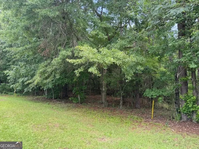 2320 Sofkee CIR Lizella, GA 31052