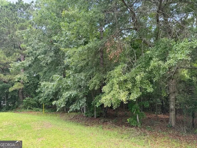 2320 Sofkee CIR Lizella, GA 31052