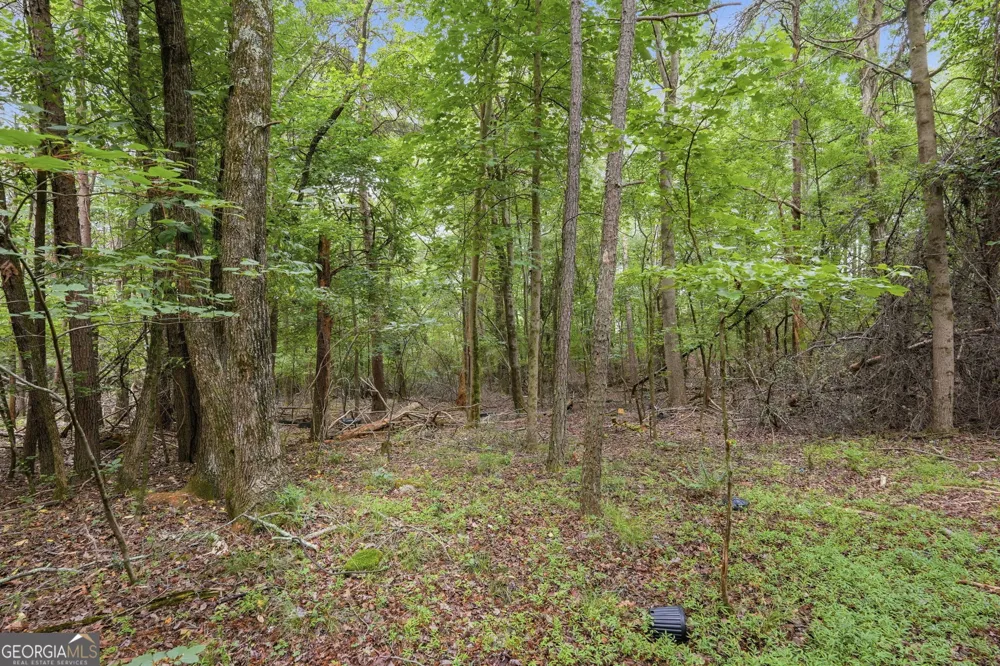 0 Tower Cumming, GA 30040