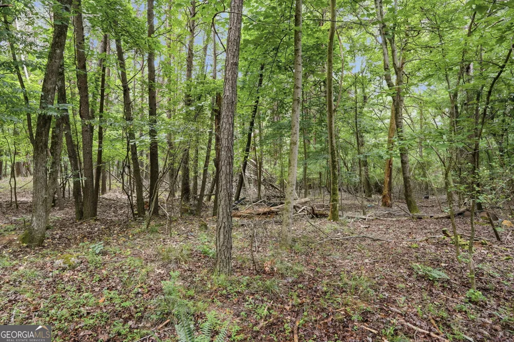 0 Tower Cumming, GA 30040