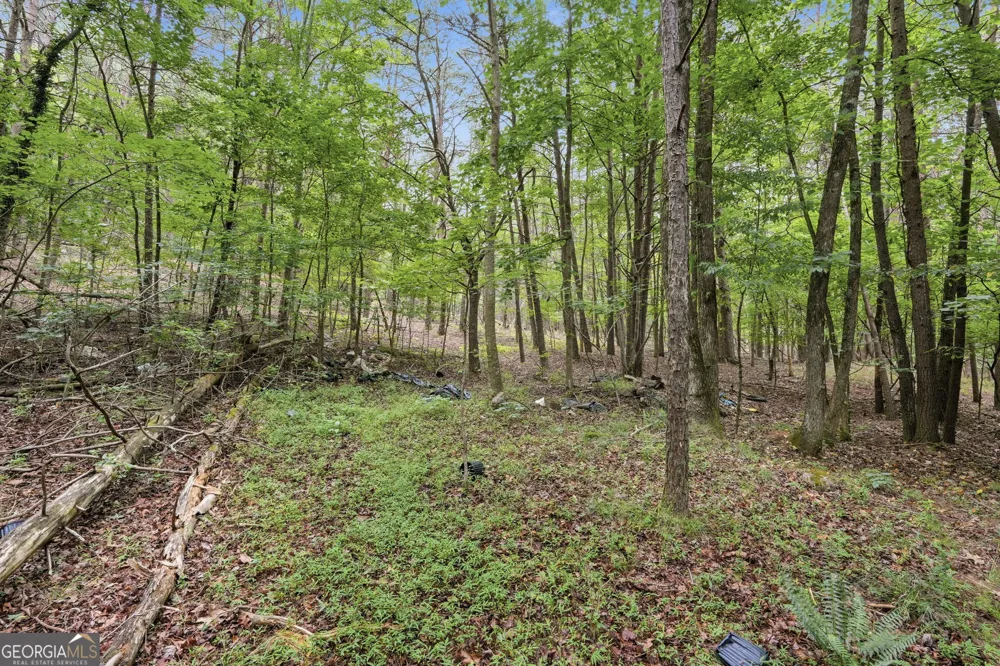 0 Tower Cumming, GA 30040