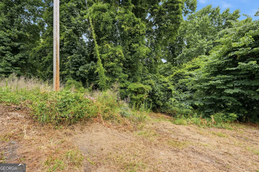 0 Tower Cumming, GA 30040