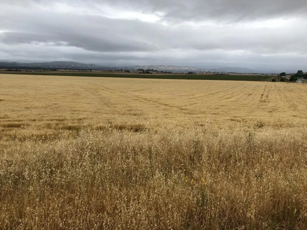 50325 Paulsen Road Lockwood, CA 93932