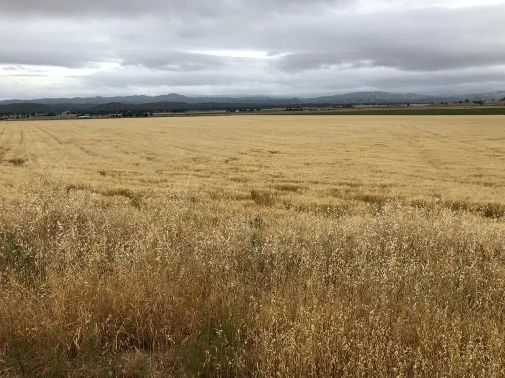 50325 Paulsen Road Lockwood, CA 93932