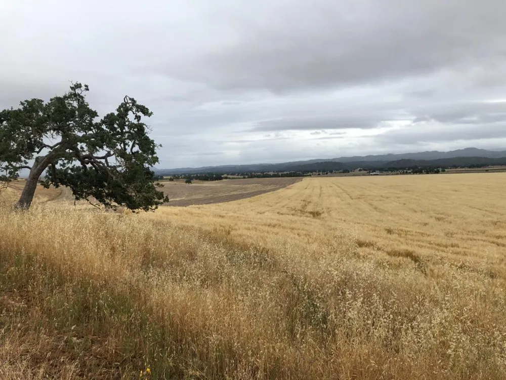 50325 Paulsen Road Lockwood, CA 93932