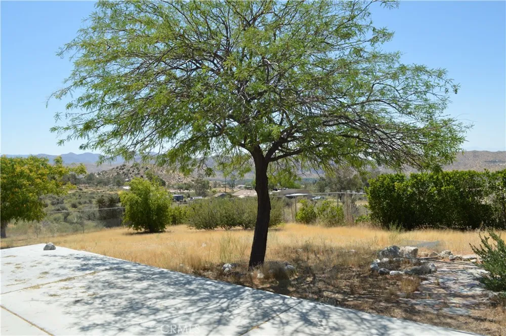 10225 Pinon Morongo Valley, CA 92256