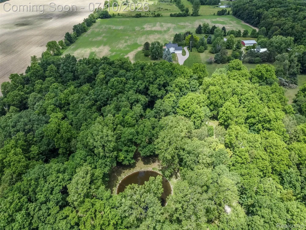 14346 Jerusalem Road Lima Township, MI 48118
