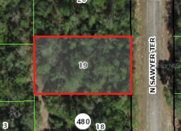 8676 SAWYER TERRACE Dunnellon, FL 34434