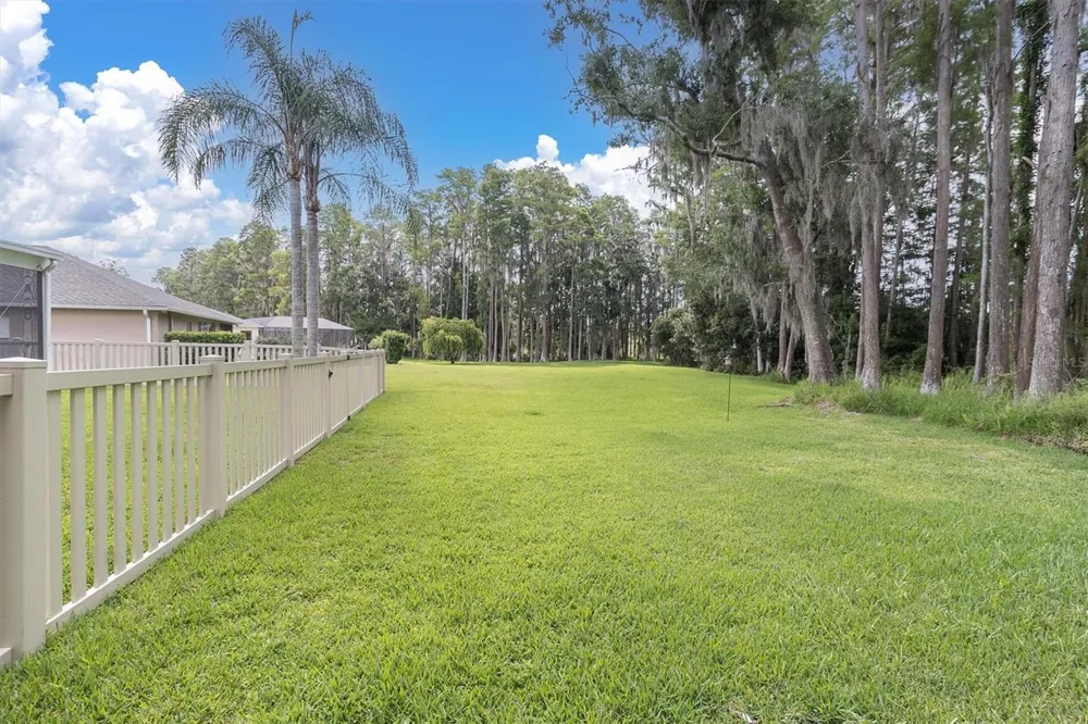 7832 BLUE SPRING DRIVE Land O Lakes, FL 34637