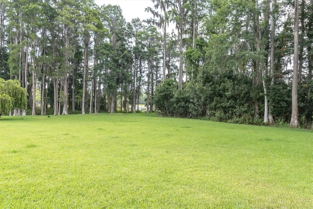 7832 BLUE SPRING DRIVE Land O Lakes, FL 34637