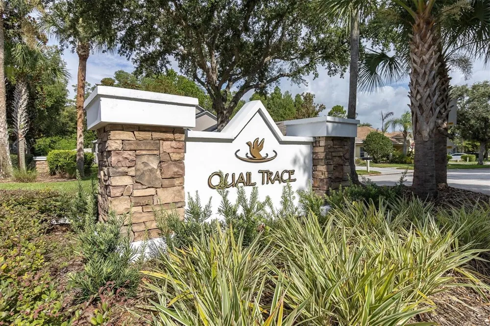 7832 BLUE SPRING DRIVE Land O Lakes, FL 34637
