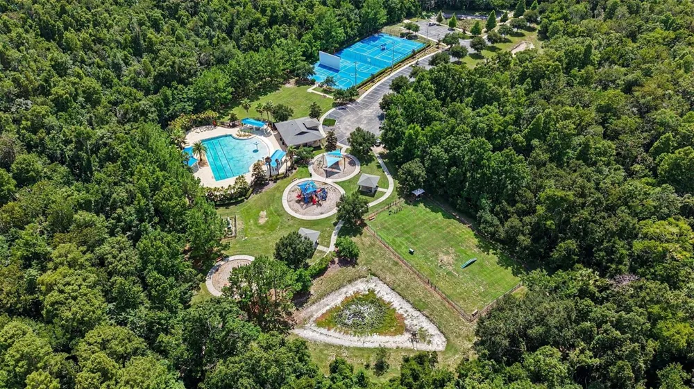17823 DAISY FARM DRIVE Lutz, FL 33559