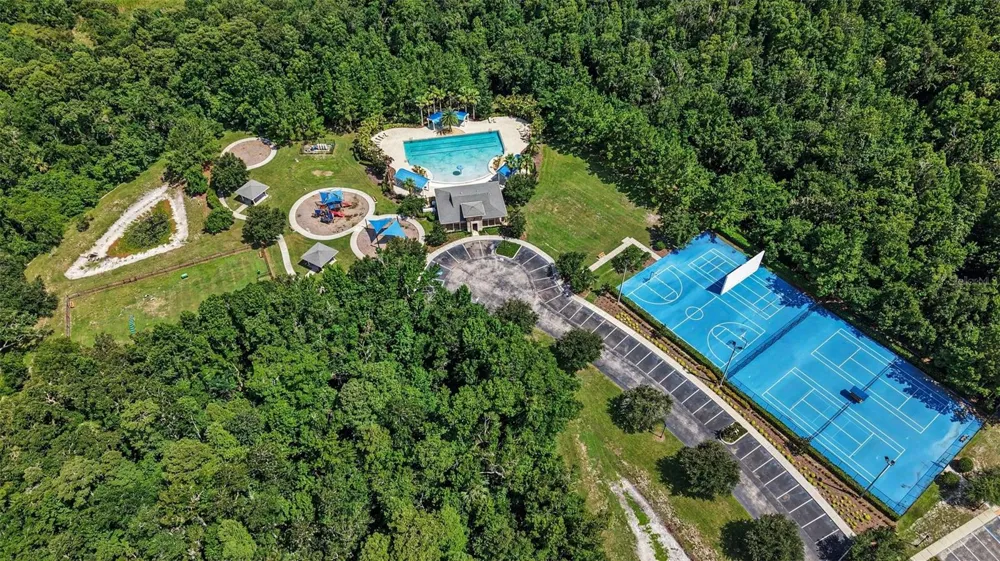 17823 DAISY FARM DRIVE Lutz, FL 33559