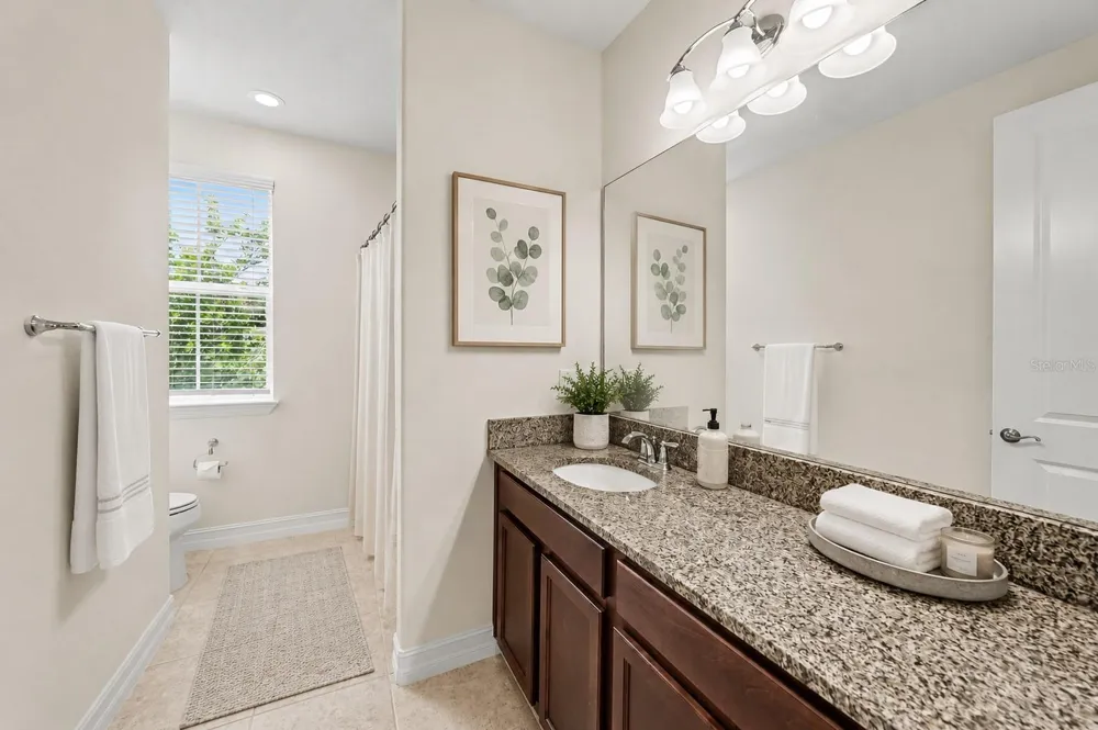 17823 DAISY FARM DRIVE Lutz, FL 33559