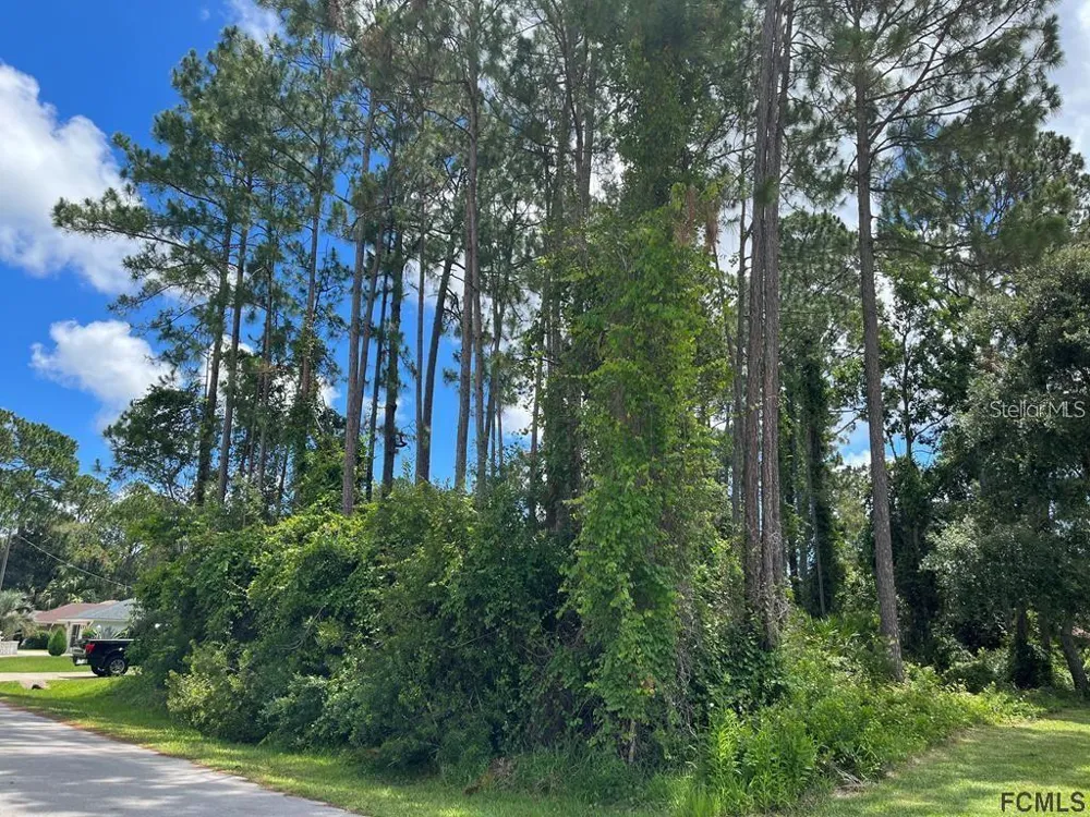 85 PORT ROYAL DRIVE Palm Coast, FL 32164