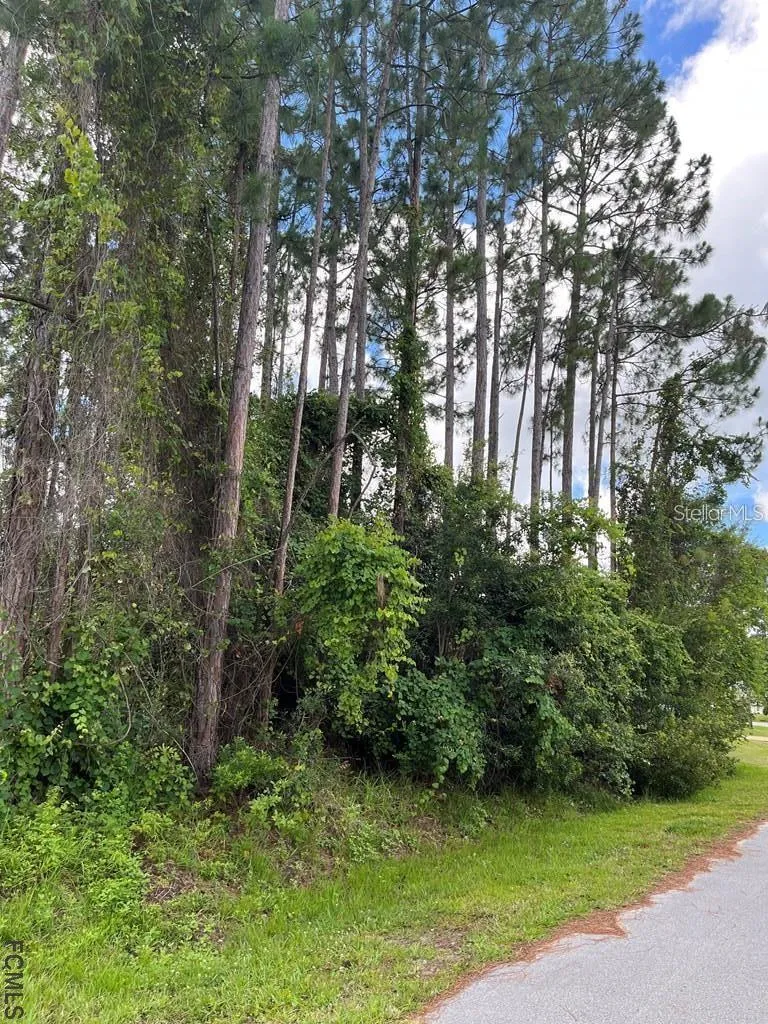85 PORT ROYAL DRIVE Palm Coast, FL 32164