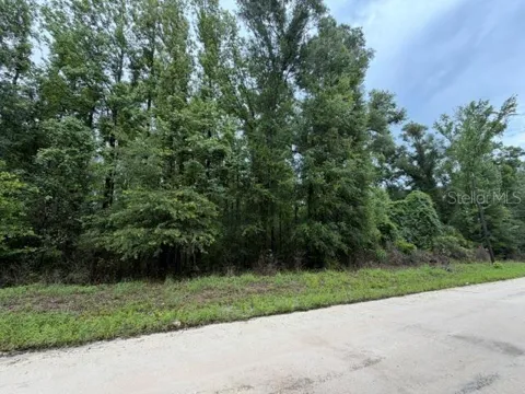 NE 312TH AVENUE