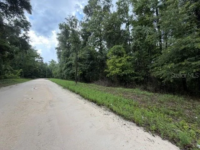 NE 312TH AVENUE Old Town, FL 32680