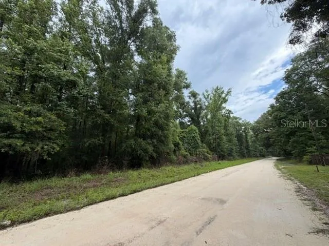 NE 312TH AVENUE Old Town, FL 32680