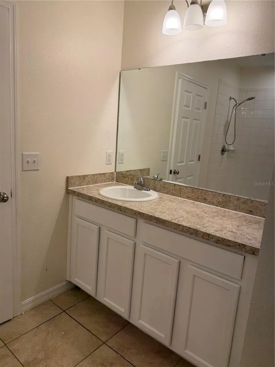 10119 CANDLEBERRY WOODS LANE Gibsonton, FL 33534