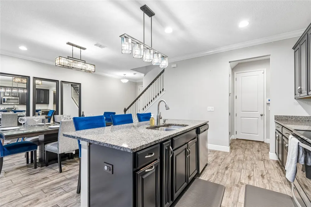 17852 ALTHEA BLUE PLACE Lutz, FL 33558