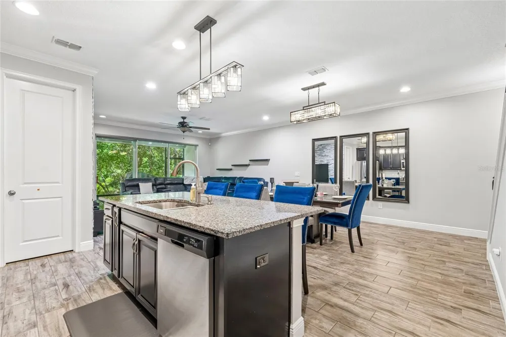 17852 ALTHEA BLUE PLACE Lutz, FL 33558
