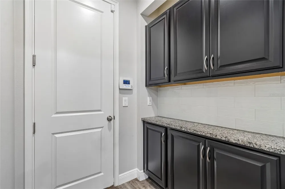 17852 ALTHEA BLUE PLACE Lutz, FL 33558