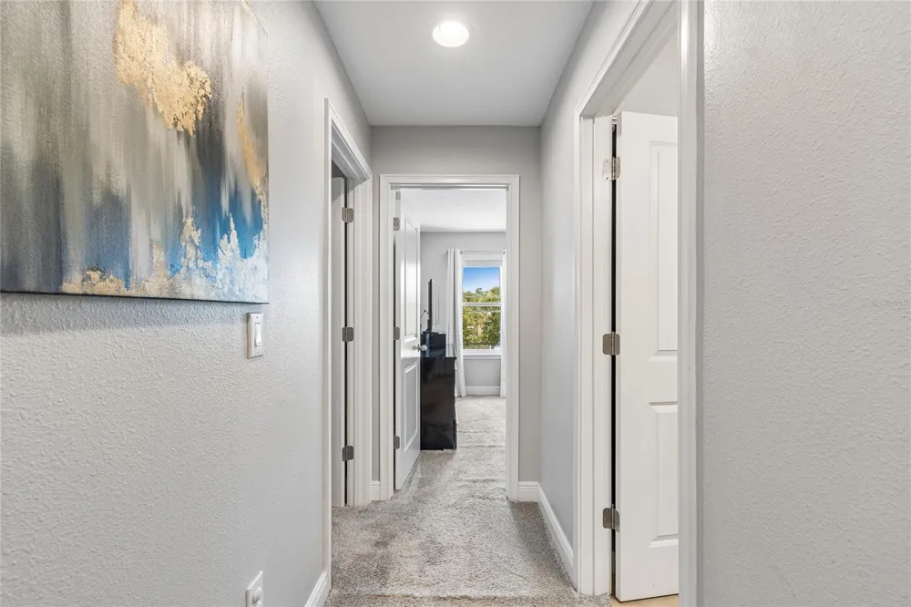 17852 ALTHEA BLUE PLACE Lutz, FL 33558