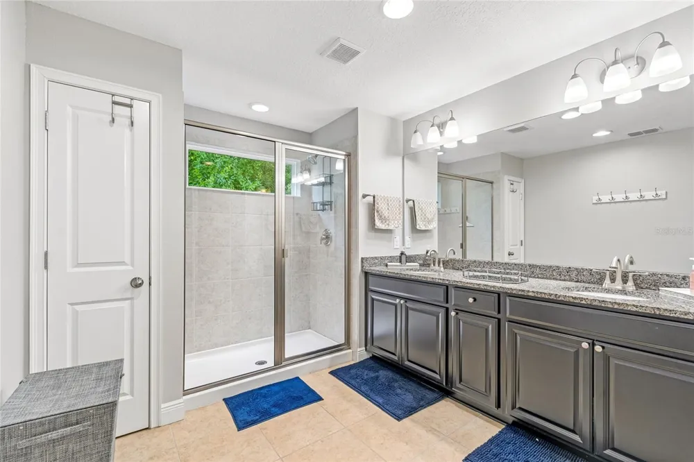 17852 ALTHEA BLUE PLACE Lutz, FL 33558