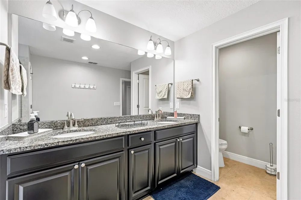 17852 ALTHEA BLUE PLACE Lutz, FL 33558