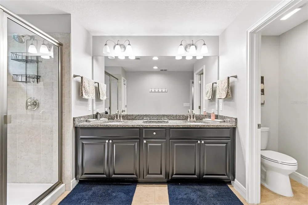 17852 ALTHEA BLUE PLACE Lutz, FL 33558