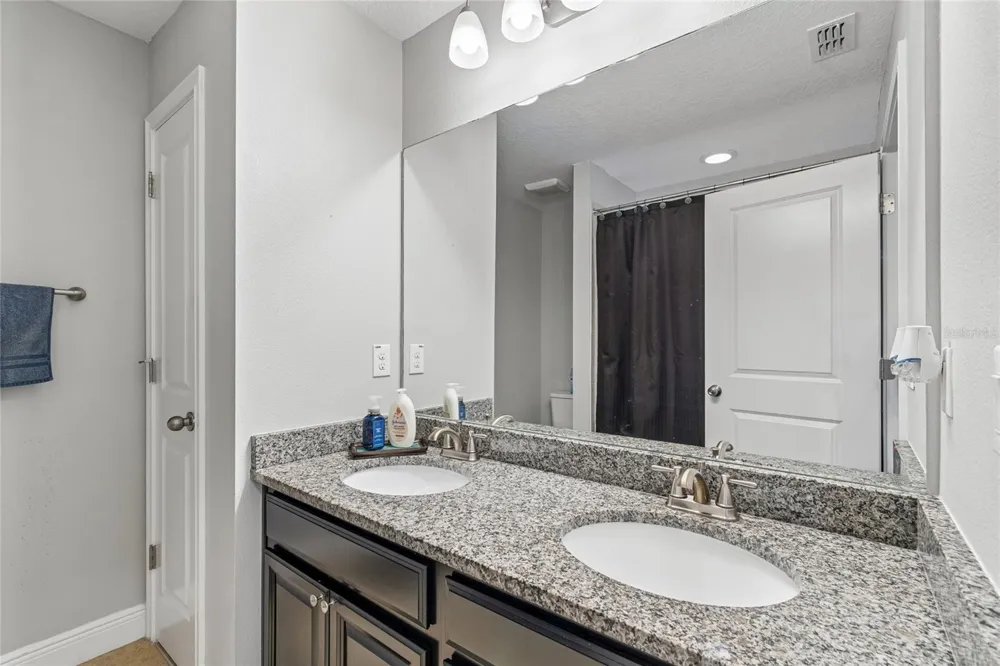 17852 ALTHEA BLUE PLACE Lutz, FL 33558