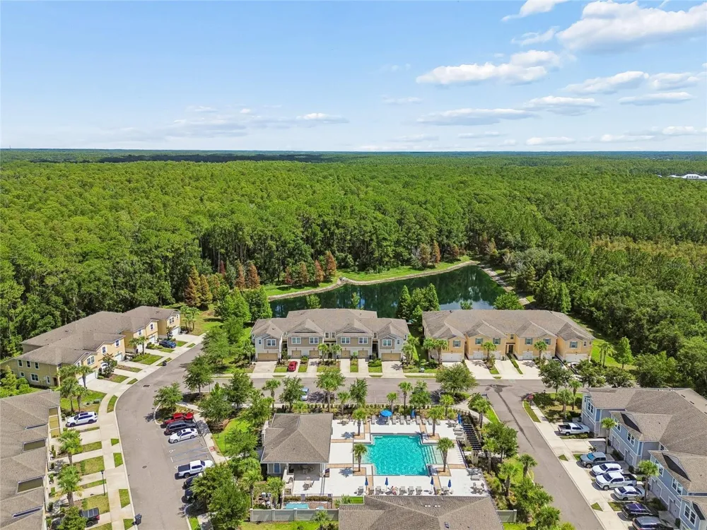 17852 ALTHEA BLUE PLACE Lutz, FL 33558