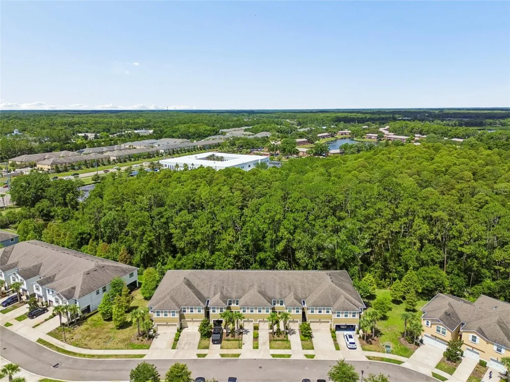 17852 ALTHEA BLUE PLACE Lutz, FL 33558