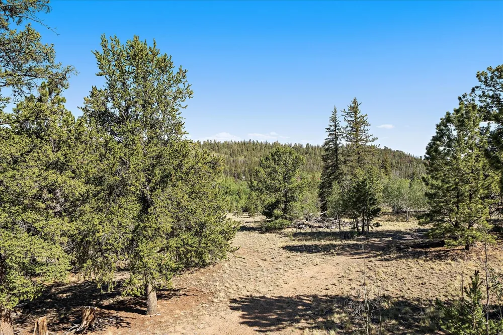 1720 Ute Trail Como, CO 80456