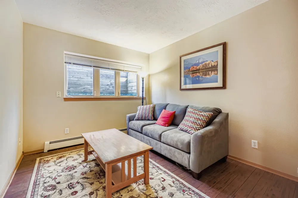 323 Twenty Grand Drive #323 Wildernest, CO 80498