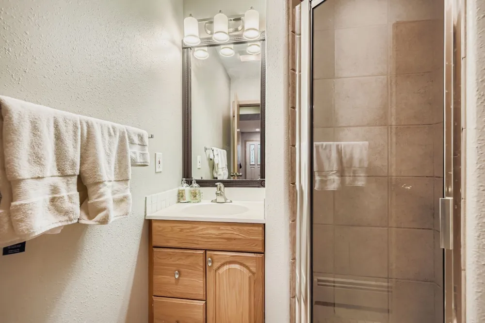 323 Twenty Grand Drive #323 Wildernest, CO 80498