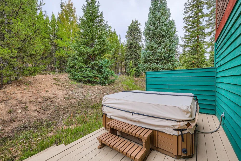 323 Twenty Grand Drive #323 Wildernest, CO 80498