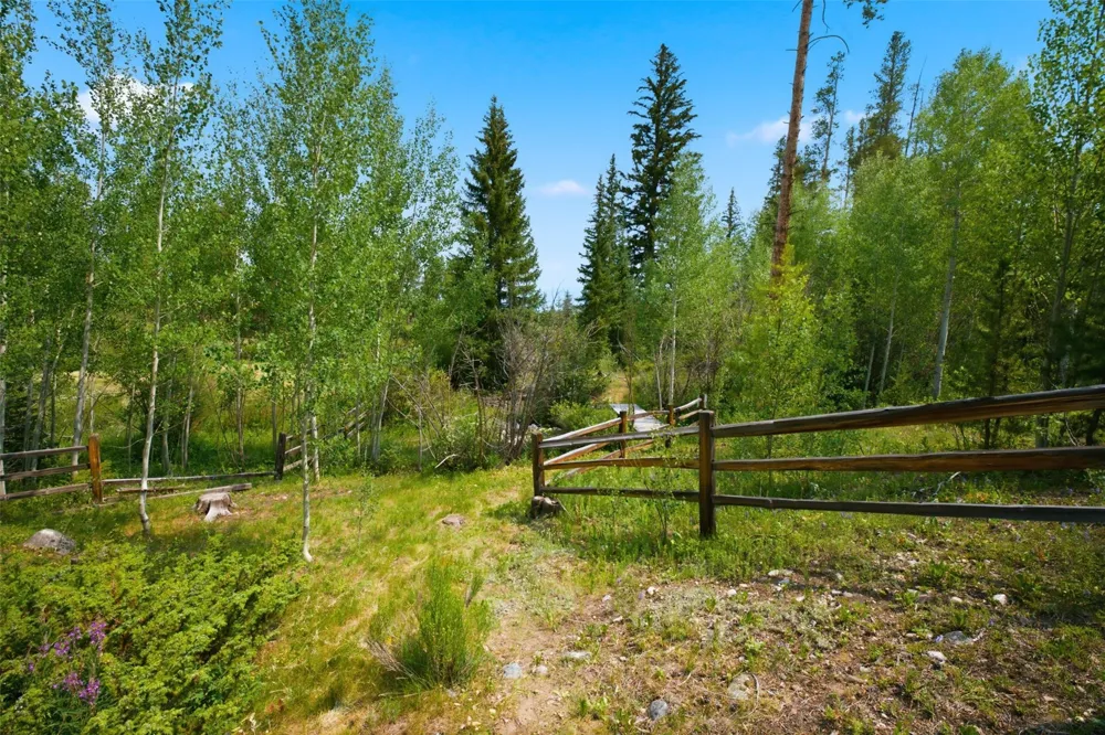 992 S 7th Avenue Frisco, CO 80443