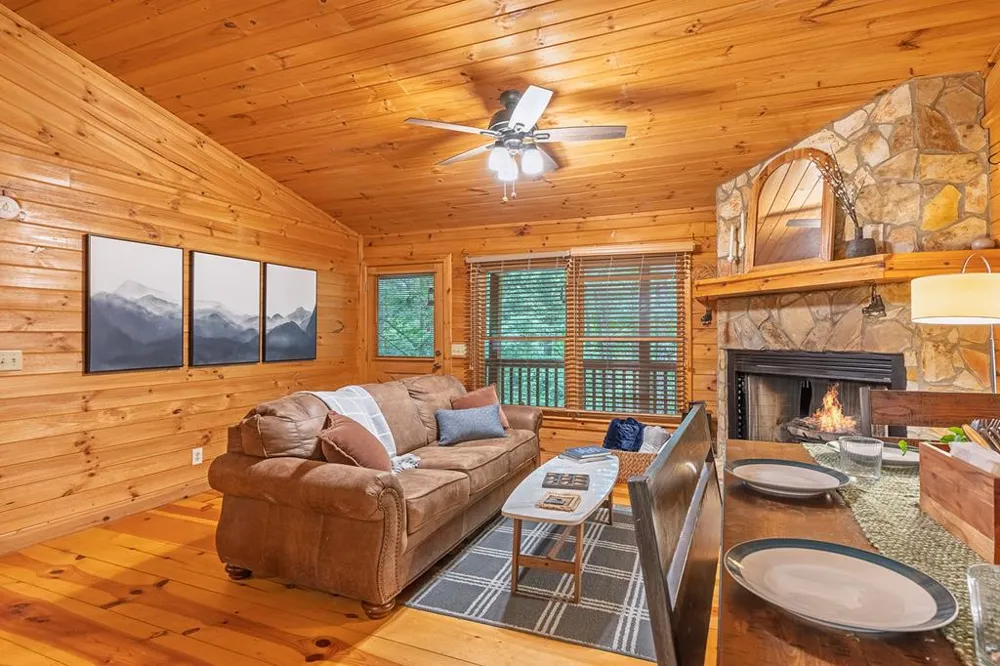 1480 Hidden Lake Drive Cherry Log, GA 30522